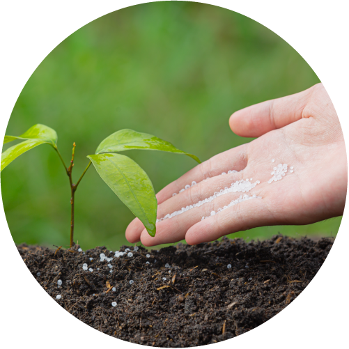 abonos de la empresa chico martín imagen abonos para plantas