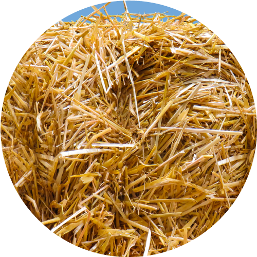 Paja y forrajes Paja